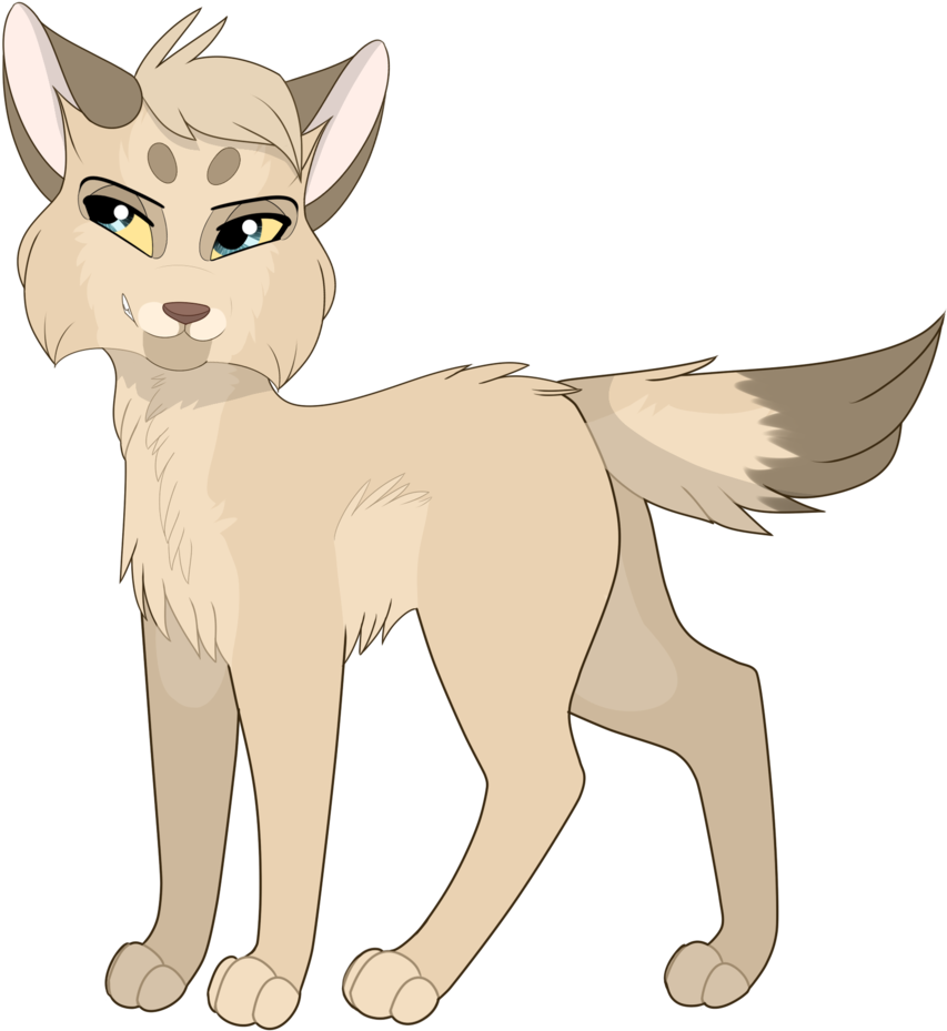 Warrior Cats Thunderclan Berrynose - Abyssinian (900x1024)