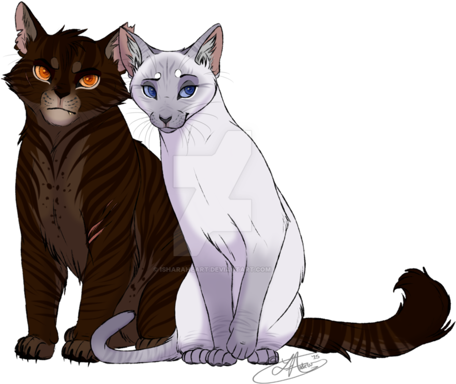 Warrior Cats Thunderclan Symbol Download - Lynx Warrior Cat (1005x795)