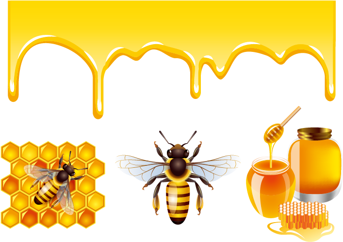 Honey Bee Honey Bee Clip Art - Honey Vector Free Download (747x617)