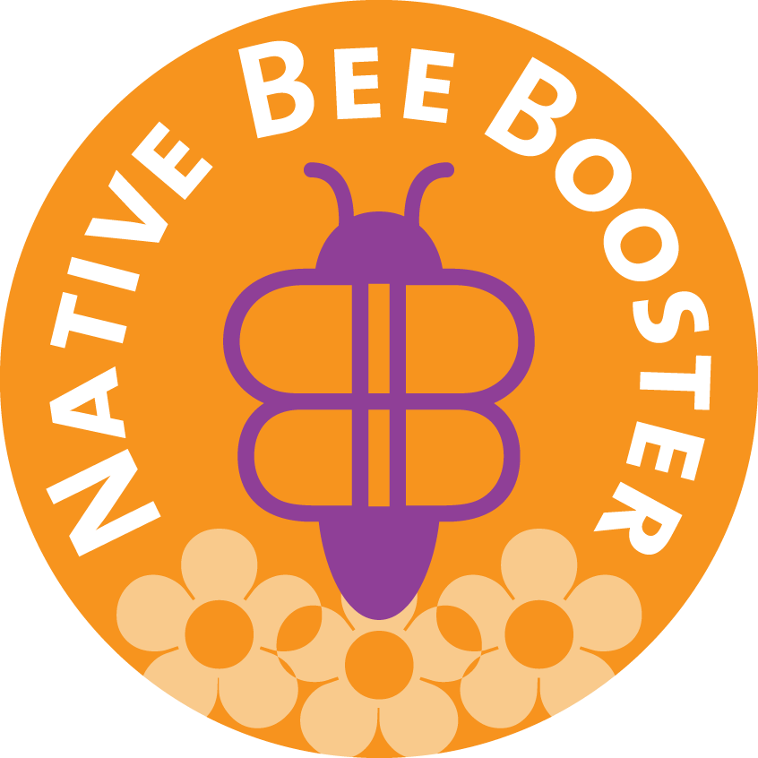 Help Protect Native Bee Populations By Joining The - Wellington Rape Crisis (846x846)