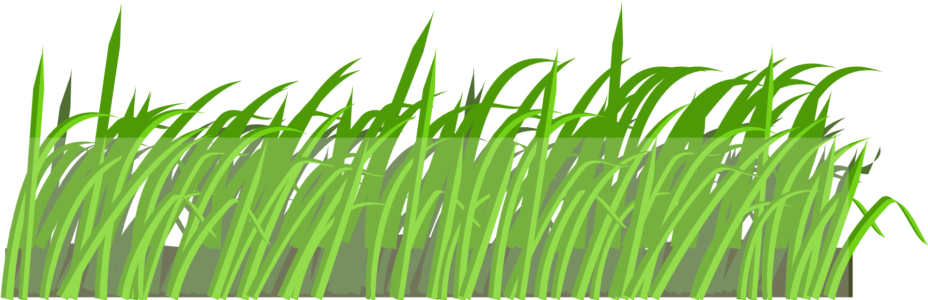 Lawn Cartoon Clip Art - Organisms Respond To Stimuli (1920x960)