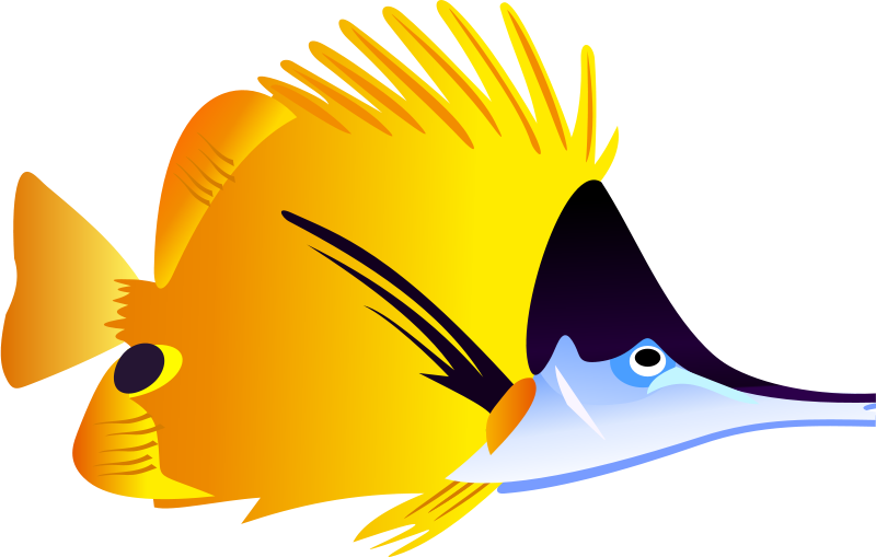 Tropical Fish Clip Art Clipart Panda Free Clipart Images - Tropical Fish (800x509)