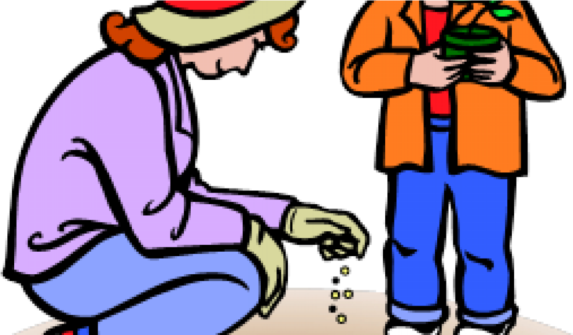 Librarians And Counsellors Know This - Seed (1366x683)