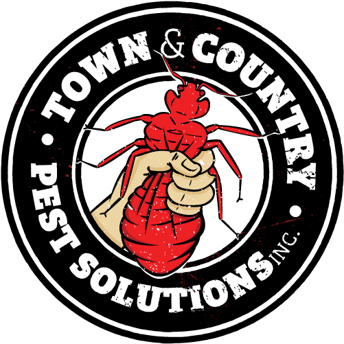 Eagle Scout (512x512)