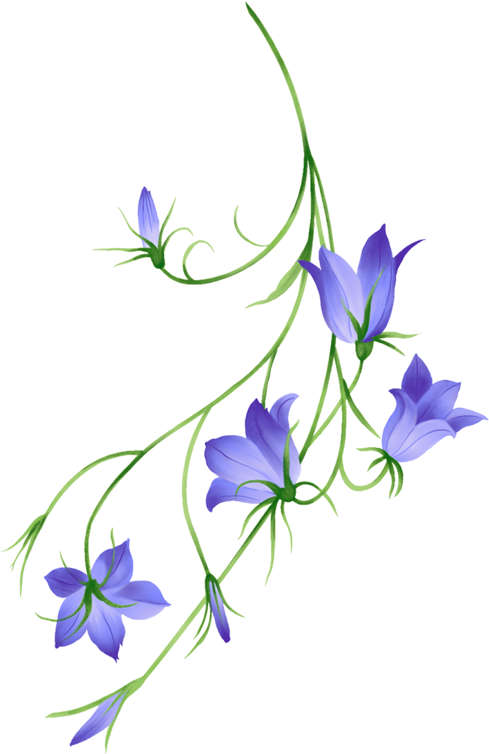 温蒂 时间 桔梗 イラスト フリー 素材 1047x1600 Png Clipart Download