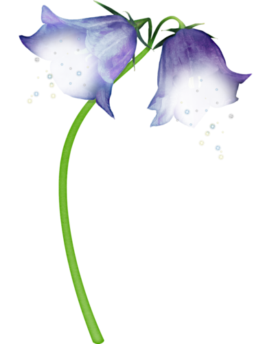 Fleur - Harebell (370x500)