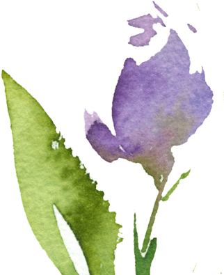 手绘渲染艺术花png透明素材 Art 324x432 Png Clipart Download 手绘渲染艺术花png透明素材 Art 324x432 Png Clipart Download