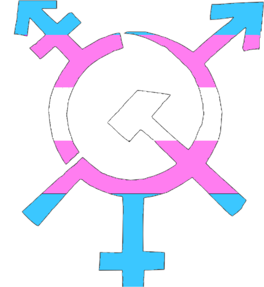 Trans Hammer And Sickle - Trans Hammer And Sickle (1000x1000)