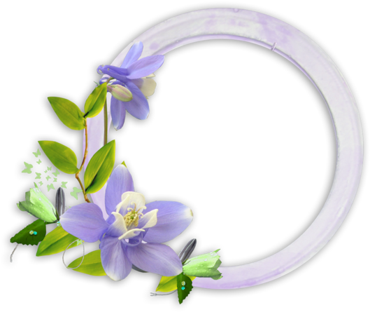 Erika Lerma На - Happy Birthday Frames For Photoshop (600x537)