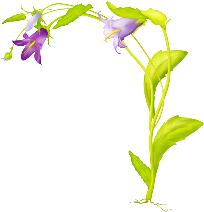 Par Dumoisdavril Dans Tube Fleur Mauve Le 1 Mai 2014 - 3d Flower Wallpaper Hd (800x800)