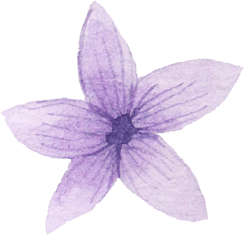 紫色星星花瓣 - Watercolor Painting (803x785)