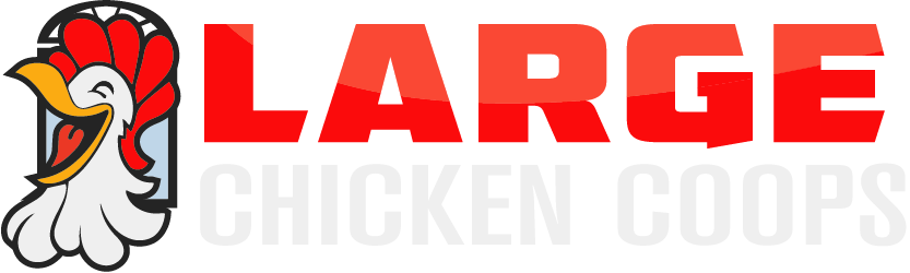 Large Chicken Coops - Chicken (833x250)