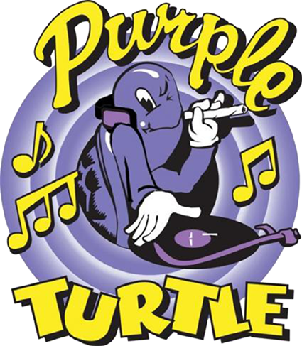 Site Logo - Purple Turtle Reading Logo (425x487)