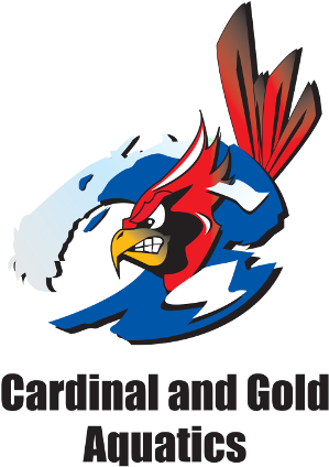 10 Mar Cardinal Gold Aquatics - Gold (300x432)