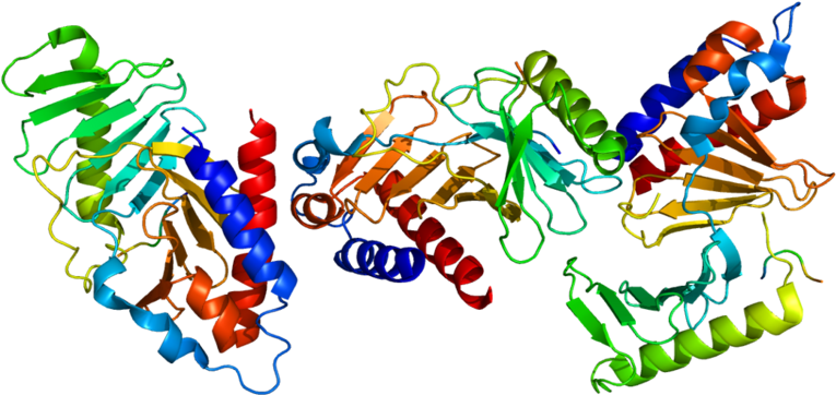 Clinical Trial For Gi Carcinoid Patients Recruiting - Plk1 Crystal Structure (1089x541)