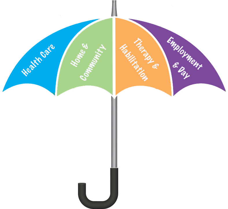 Did You Know - Medicaid (816x724)