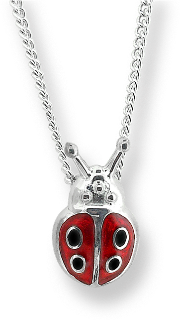 Nicole Barr Designs Fine Enamels Sterling Silver Ladybug - Locket (800x800)