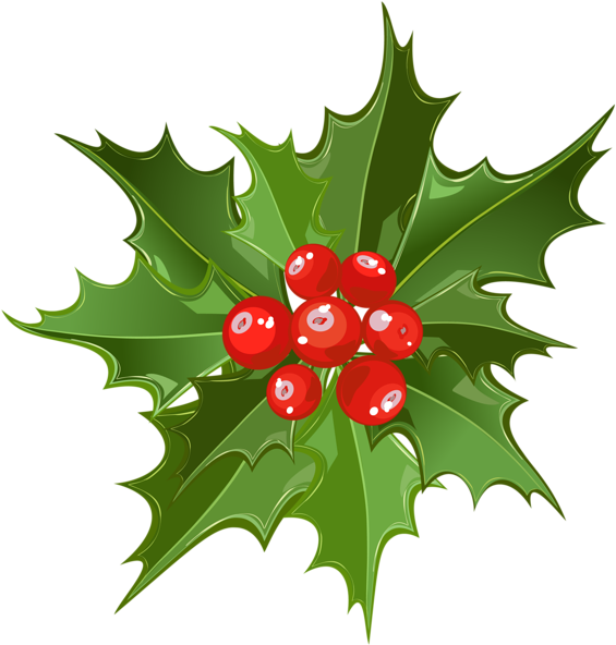 Http - //favata26 - Rssing - Com/chan-13940080/all - Mistletoe Pictures Png (600x600)
