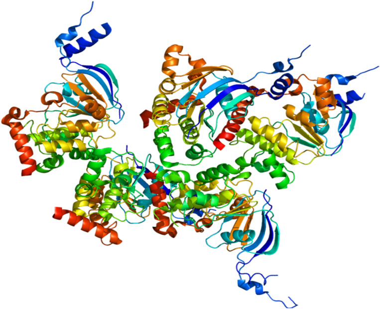 Rendering Of Cftr Protein's Structure - Cystic Fibrosis Transmembrane Conductance Regulator (800x650)