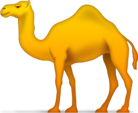 Camel Png Free Png Images Toppng Rh Toppng Com - Camel Icon (480x480)