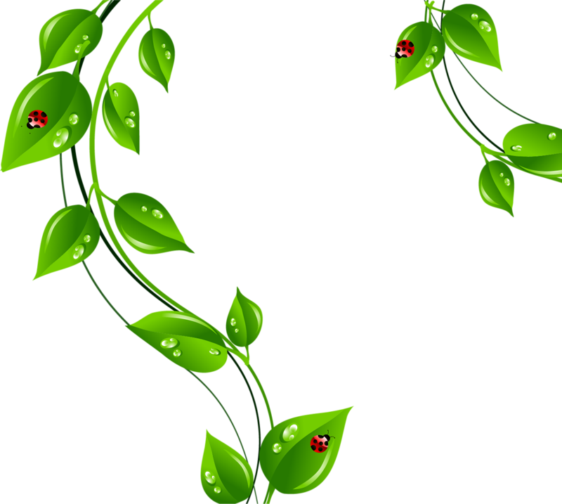 Festa Della Donna 8 Marzo Tubes Png Materiale Grafico - Flowers Animated Gif Transparent (800x717)