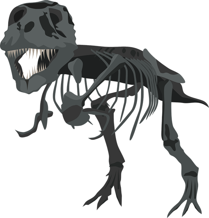 Dinosaur Clipart Carnivore - Feinstein Loses California Democratic Party (689x720)