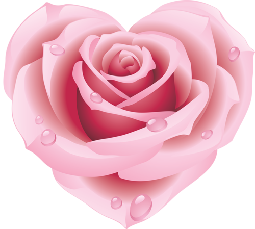Roza186 - Pink Rose Clip Art (500x449)