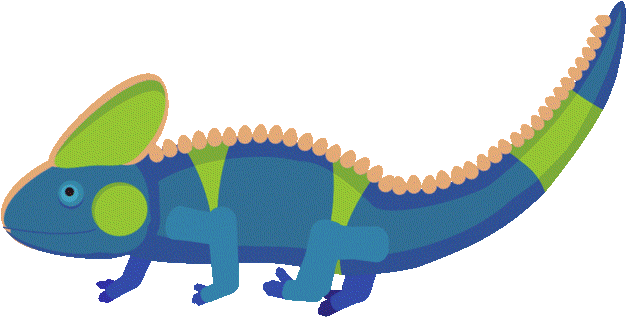 Babys Skulls Are Soft Babys Have More Bones Old People - Common Chameleon (1000x418)