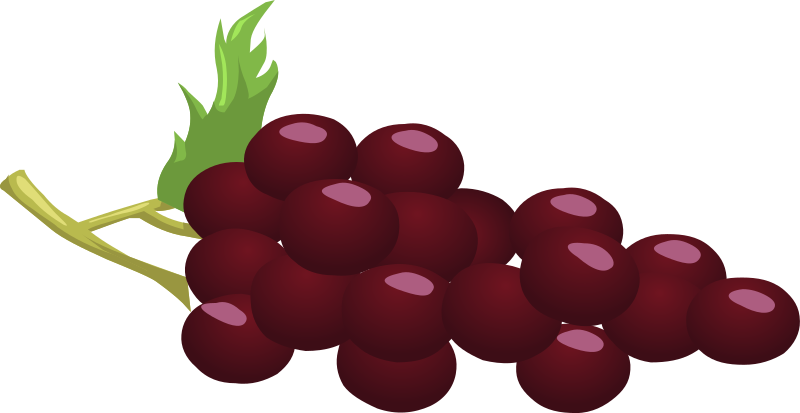 Medium Image - Grapes Red Clip Art (800x413)