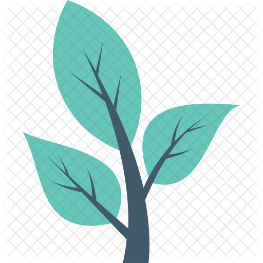 Botanical Medicine - Medicine (512x512)