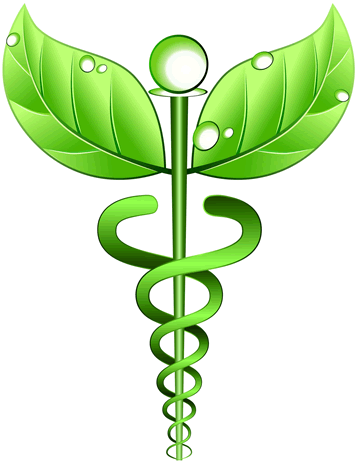 Houston Holistic Health Clinic Hair Analysis Alternative - Alternative Medicine Symbol (357x462)