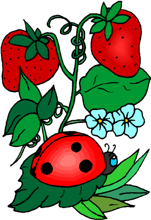 Insecte 08 - Spreading Love Ladybugs Greeting Cards (pk Of 10) (304x450)