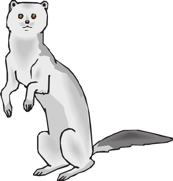 Mink Clipart Black And White (570x596)