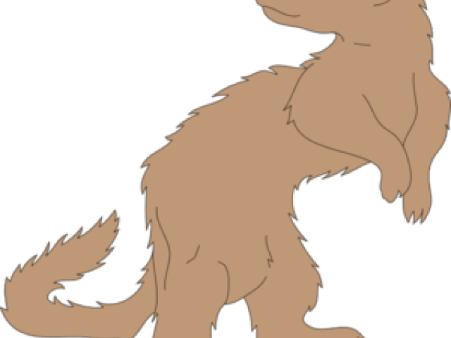 Ferret Clipart Clip Art - Clip Art (640x480)