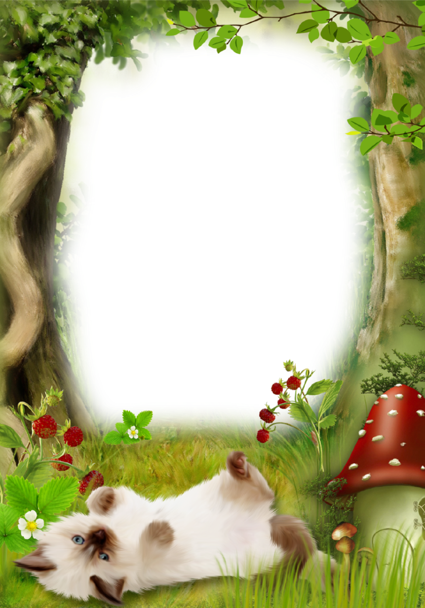 Candy Corn Borders Download - Forest Photo Frame Png (839x1200)