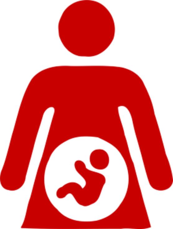 Birth Cost Recovery Is A Practice Allowed, But Not - Pregnant Woman Icon Png (556x732)