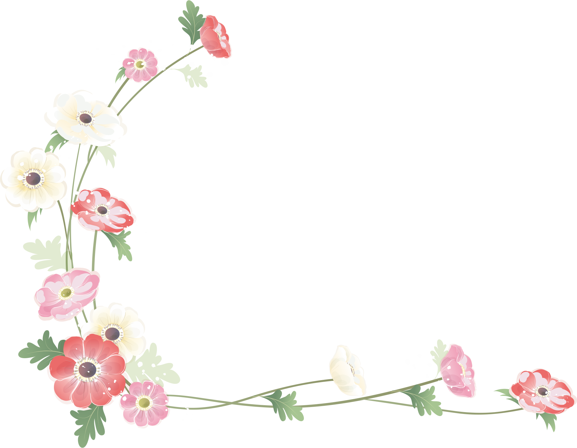 Photography Flower Clip Art - Flower Border Png (1914x1486)
