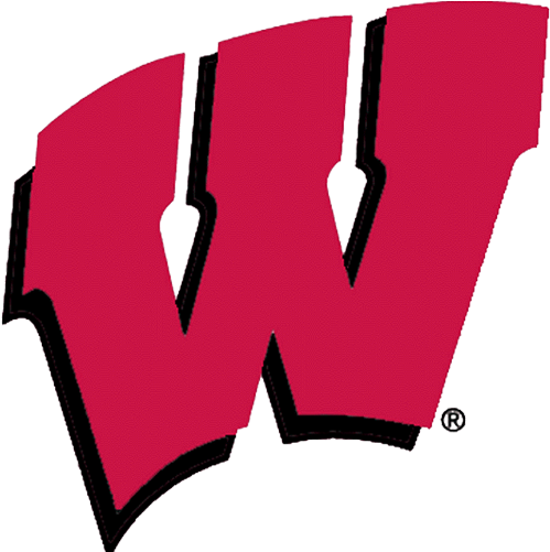 University Of Wisconsin Logo Png (955x500)