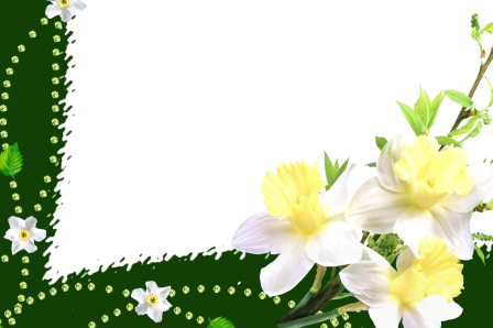 Lime Green Borders And Frames Beautiful Green Borders - Virágos Képkeretek (448x298)