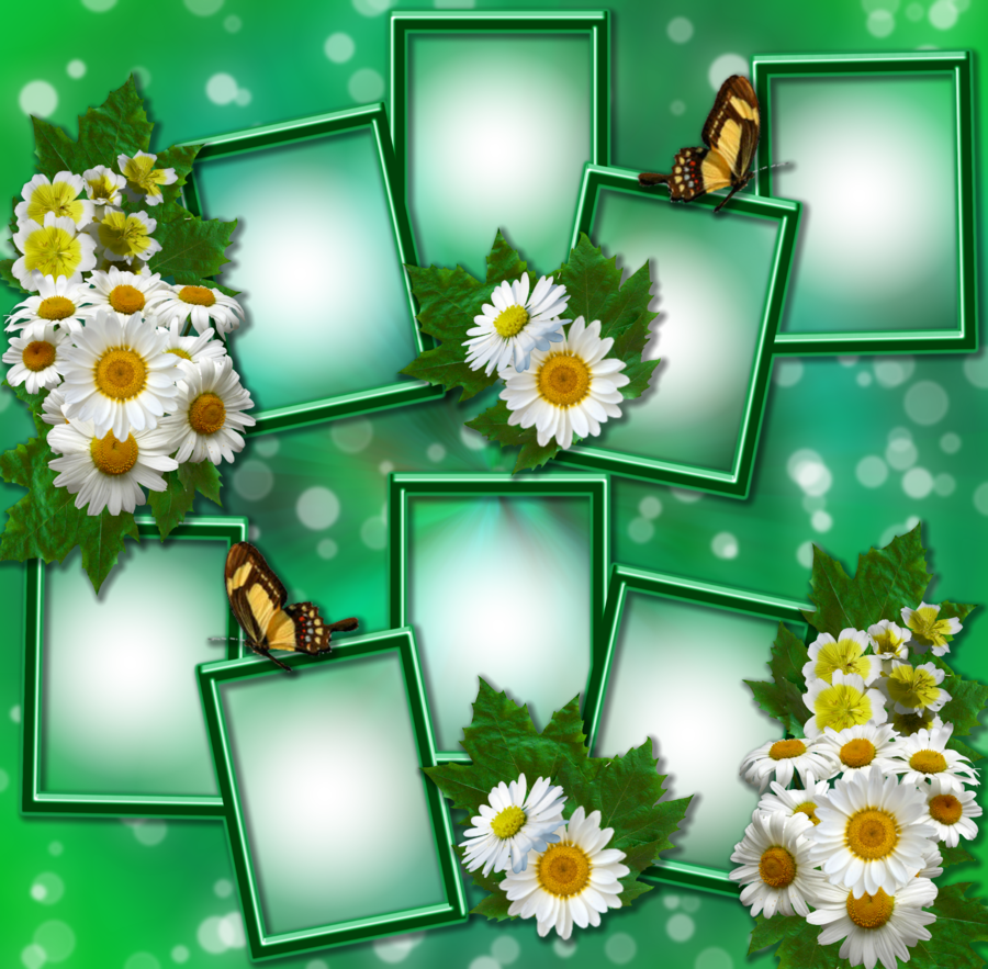 Frames In Green And Daisies By Venicet On Deviantart - Png Green Photo Frame (900x883)