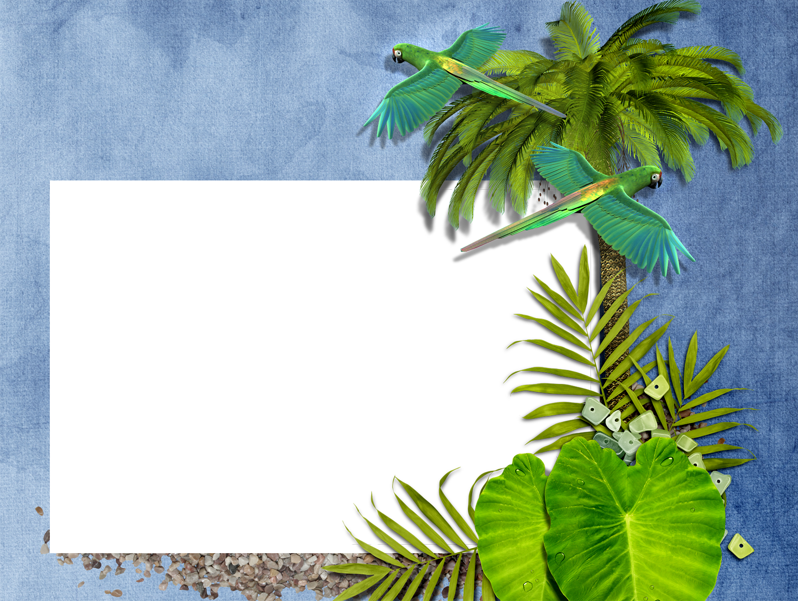 Exotic Tropical Leaves Wreath Border Frame Green Stock - Palm Tree Frame Transparent (1600x1204)