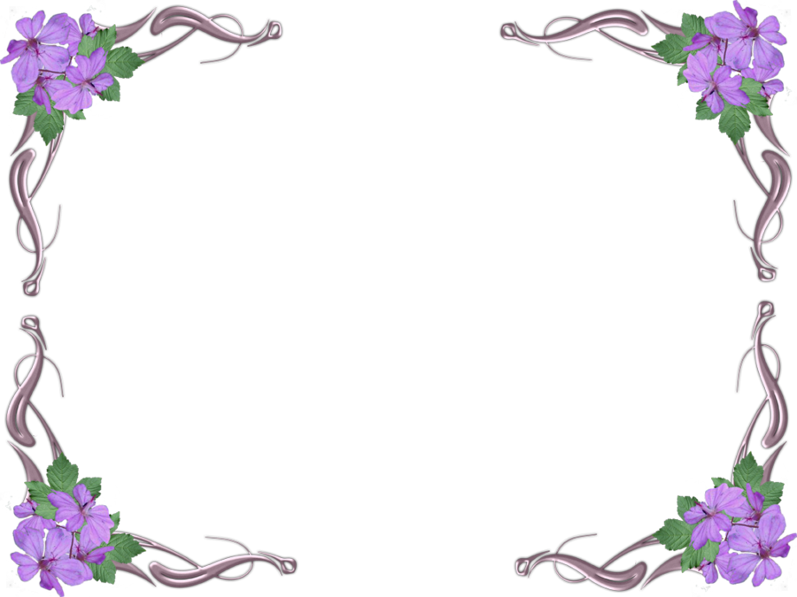 Purple Flowers Without Background By Missesambervaughn - Dendrobium (900x675)