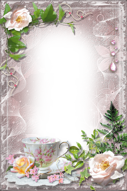 Image Du Blog Zezete2 - Garden Roses (534x800)