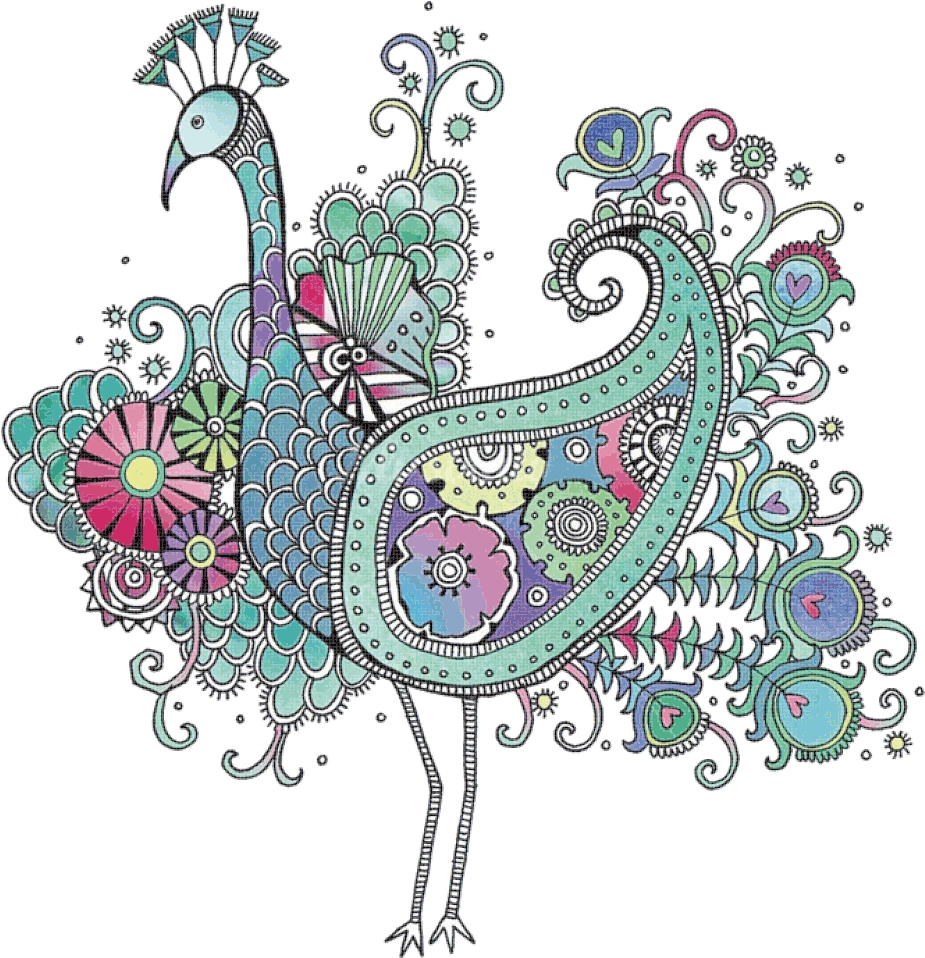 Bird Peafowl Drawing Doodle Pattern - Hannah Davis Art Work (1000x1000)