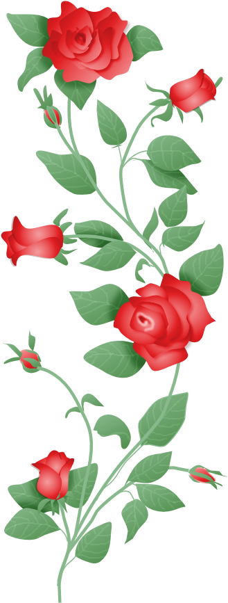 Source - - Roses On A Vine Png (344x870)