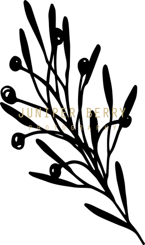 Juniper Berry Photography - Juniper Berry Photography (290x488)