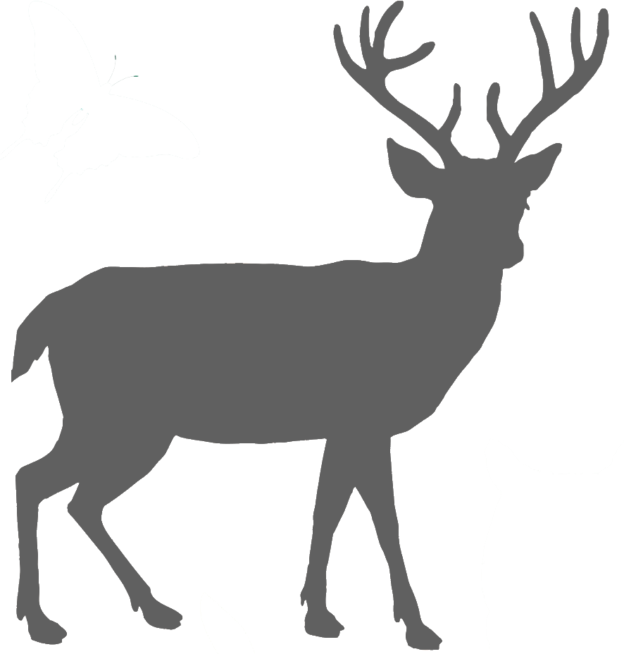 Northern Bayberry Western Red Cedar Green Giant Arborvitae - Deer Silhouette Png (886x928)