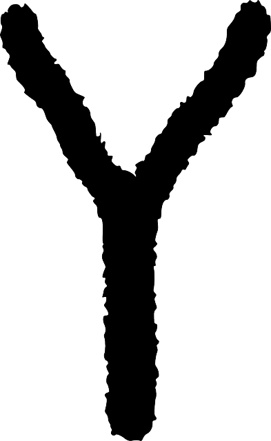 Ancient Slingshot, Fork, Iberia, Petroglyph, Spain, - Pixel Slingshot (393x640)