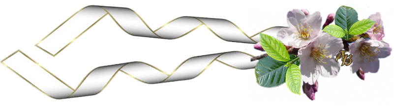 H-3r4p0sle - Illustration (800x230)