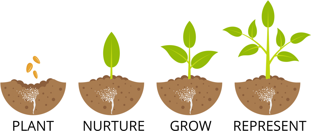 Second Chances Growing Principles For Change - Stages Of A Tree Growing (1030x478)